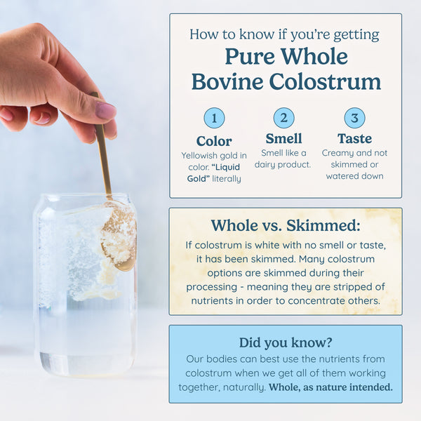 Colostrum Powder
